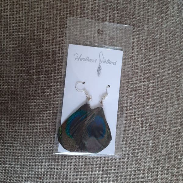 Feather Earrings - Peacock