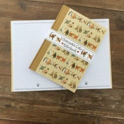 Charismatic Cats Large Hardback J
