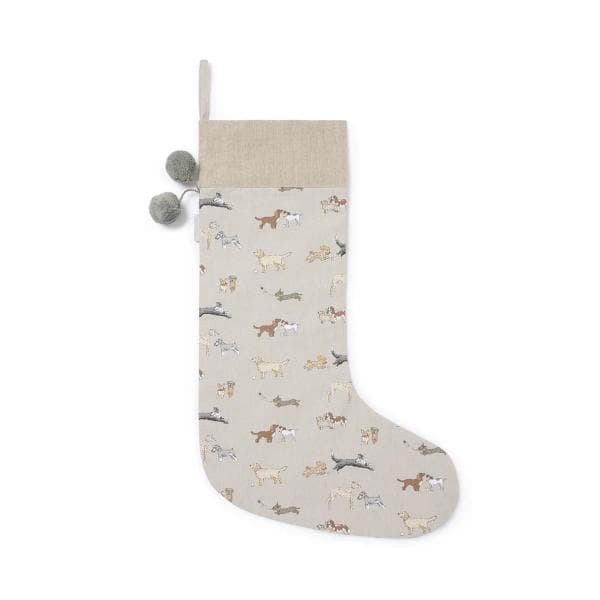 Christmas Stocking - Doggy Daycare ALL119595