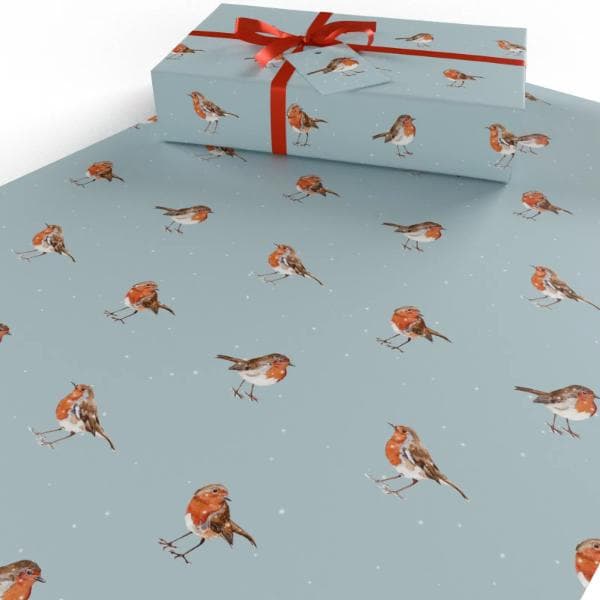Christmas Winter Robins by Sophie Botsford