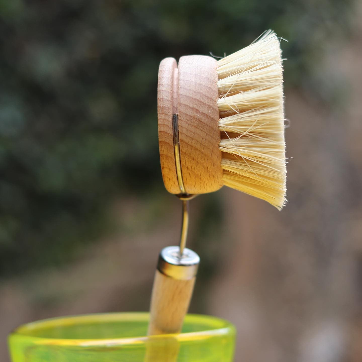 Cleaning Dishwasher Brush
