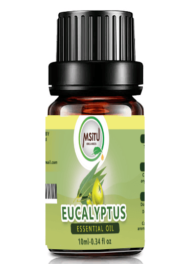 Essential Oil - Eucalyptus