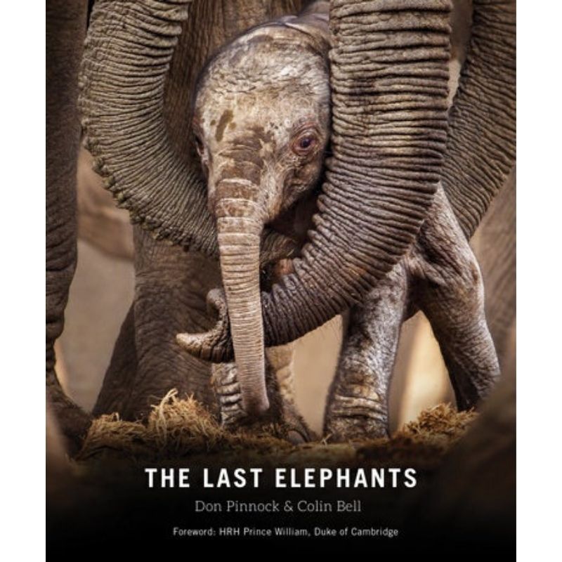 Last of Elephants