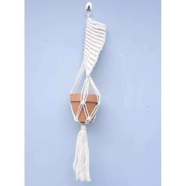 Spiral Plant Holder & Pot