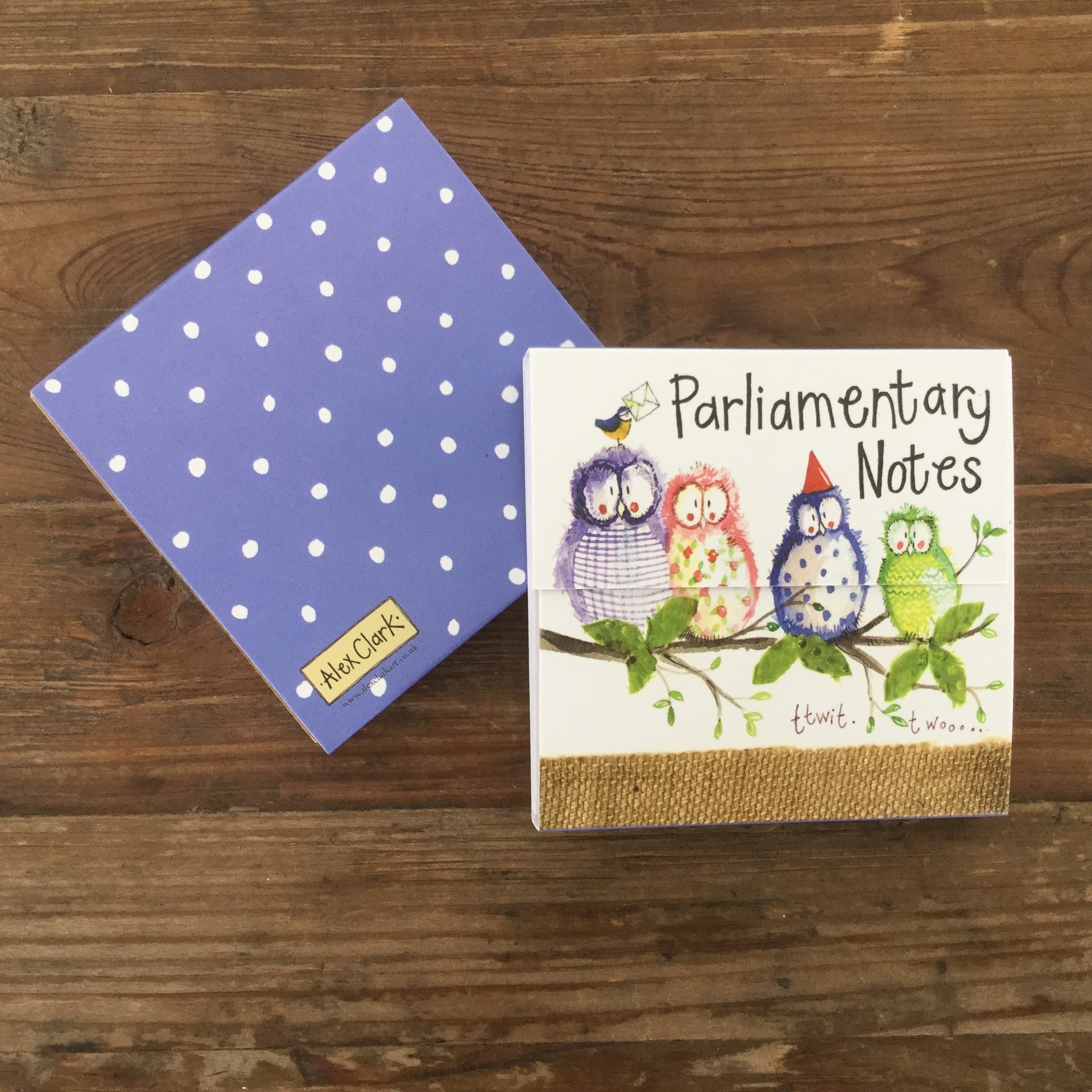 Mini Magnetic Notepad - Owl Party