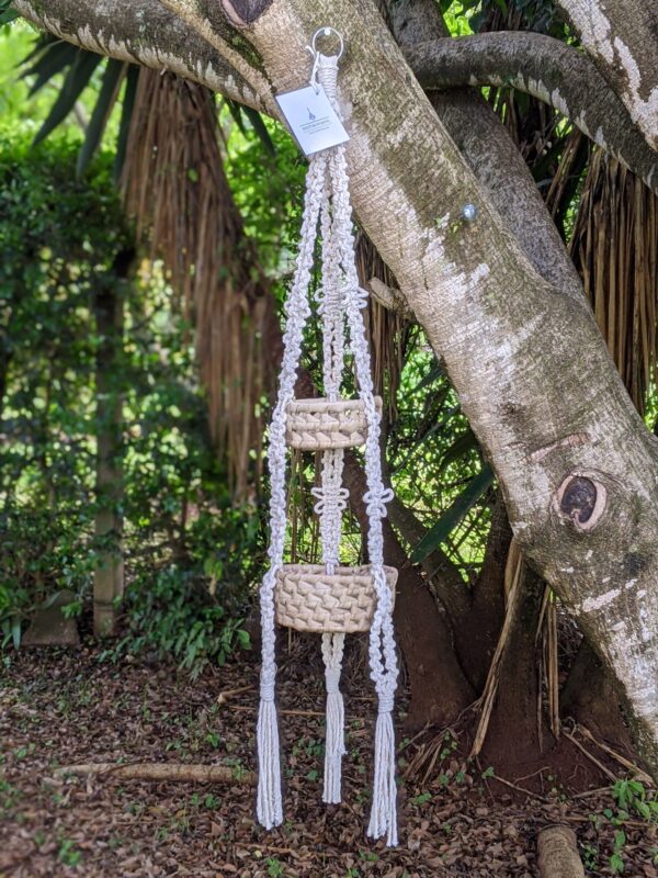 Coast small round basket x2 w/ butterfly knots