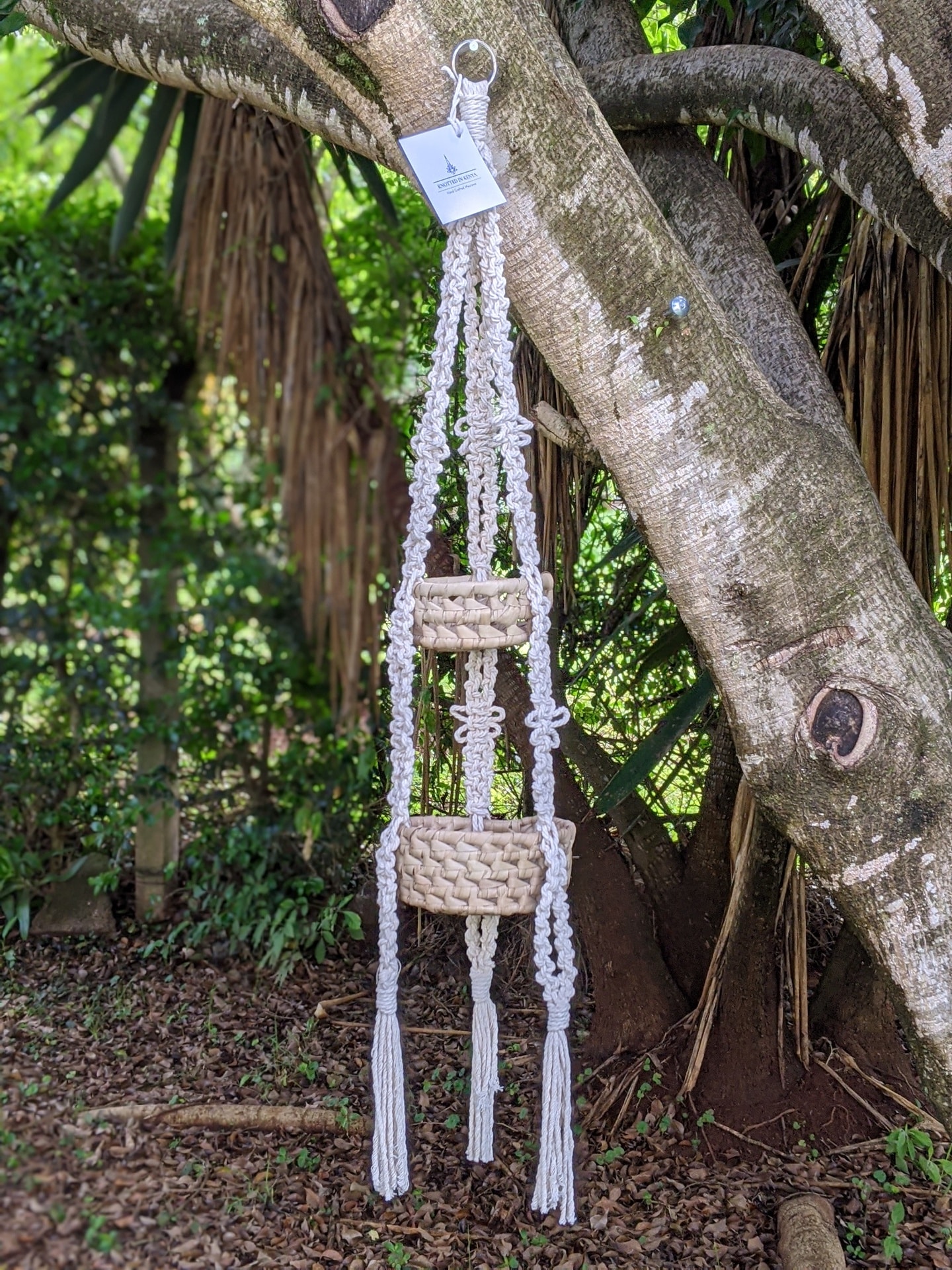 Coast small round basket x2 w/ butterfly knots