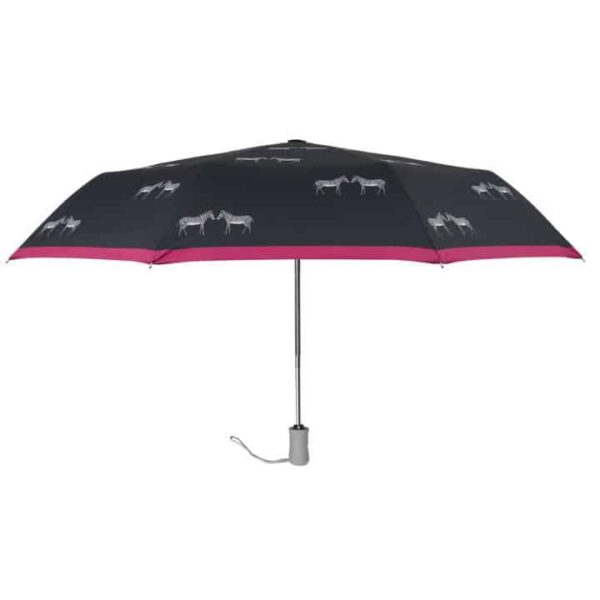 Umbrella - Zebra