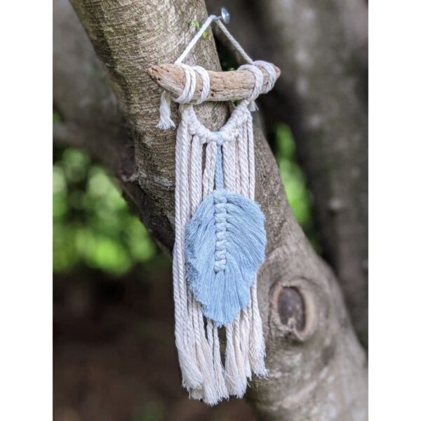 Driftwood with blue feather