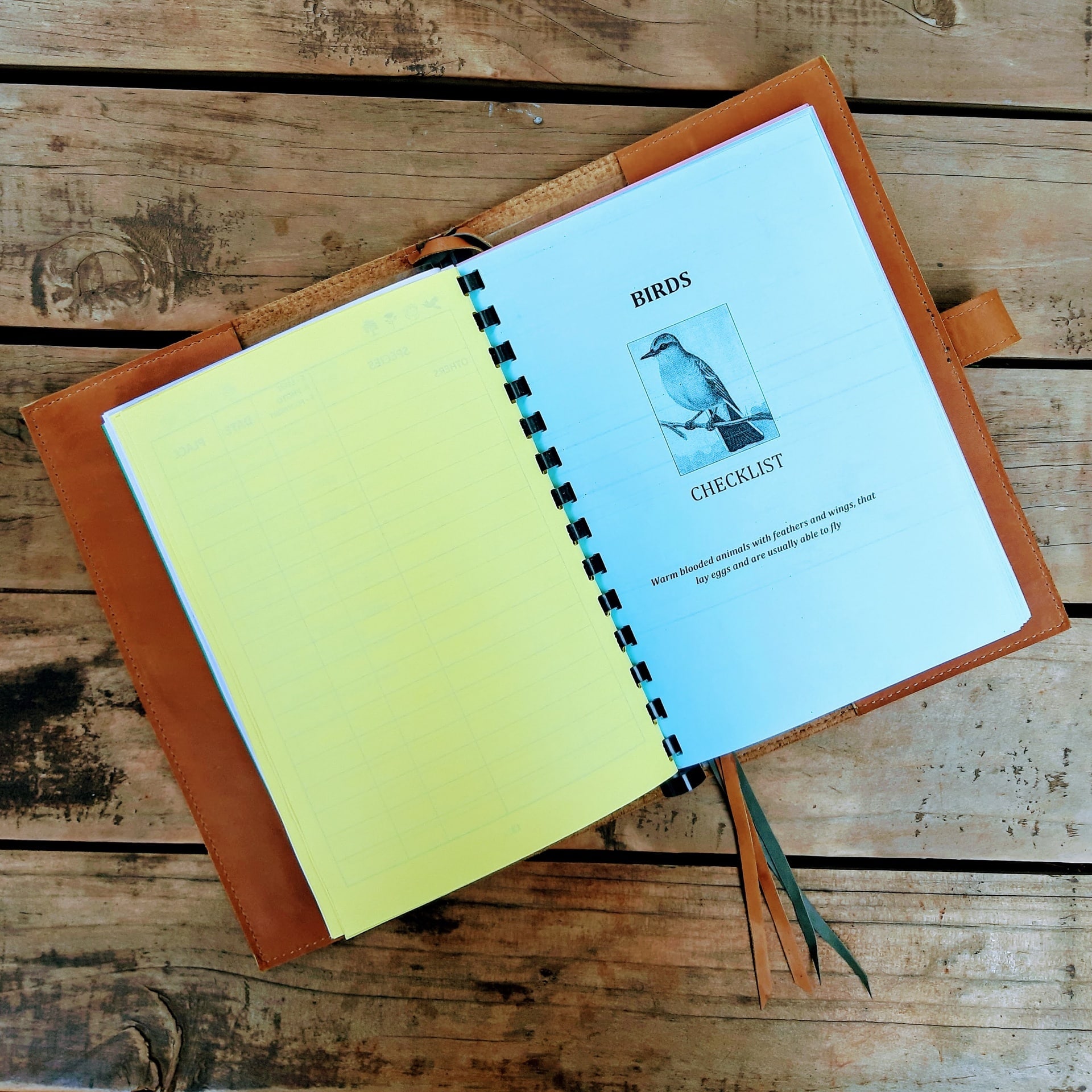 Safari Log - Image 7