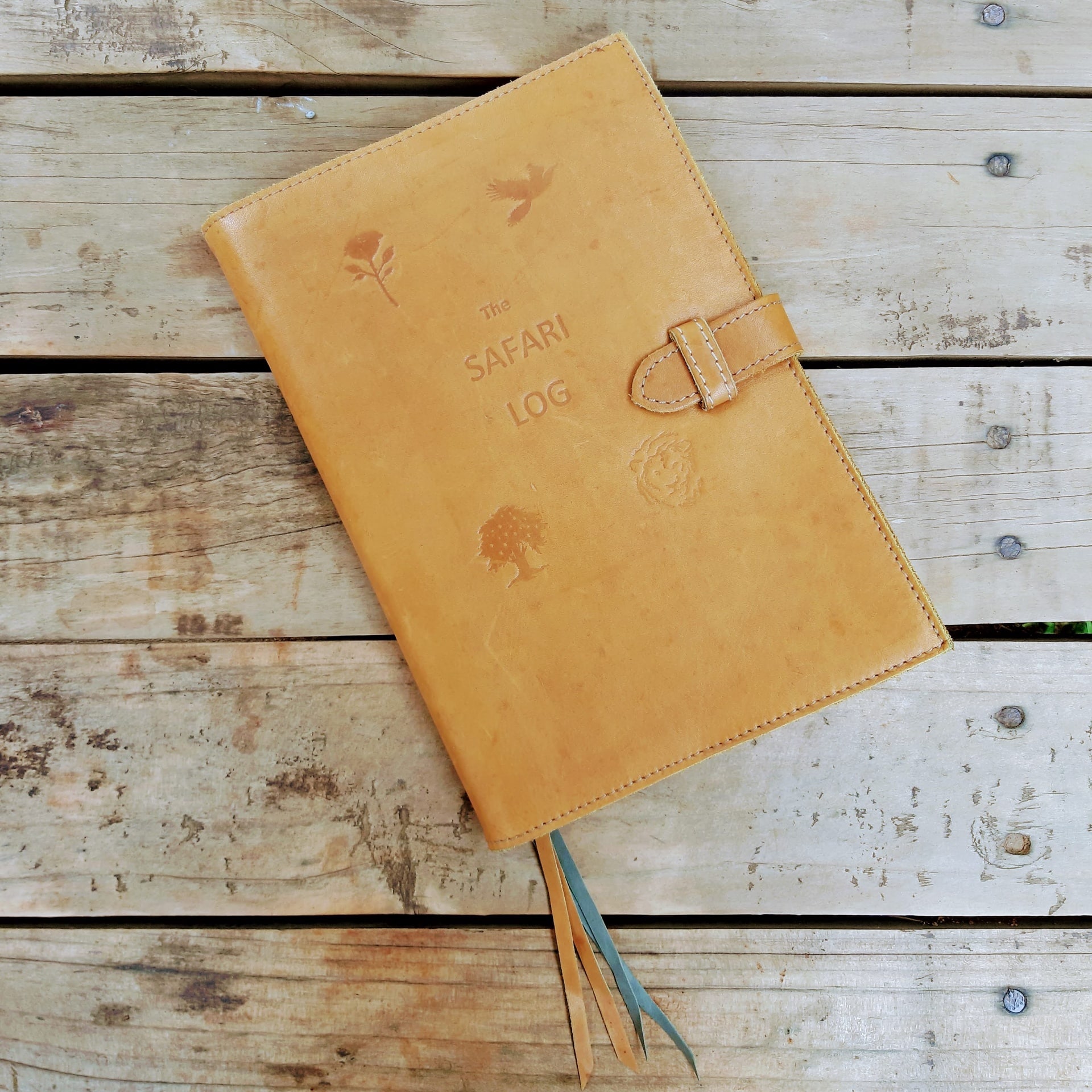 Safari Log - Image 2