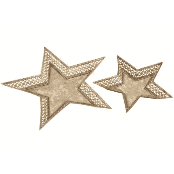 Set of 2 Gold Star Plate