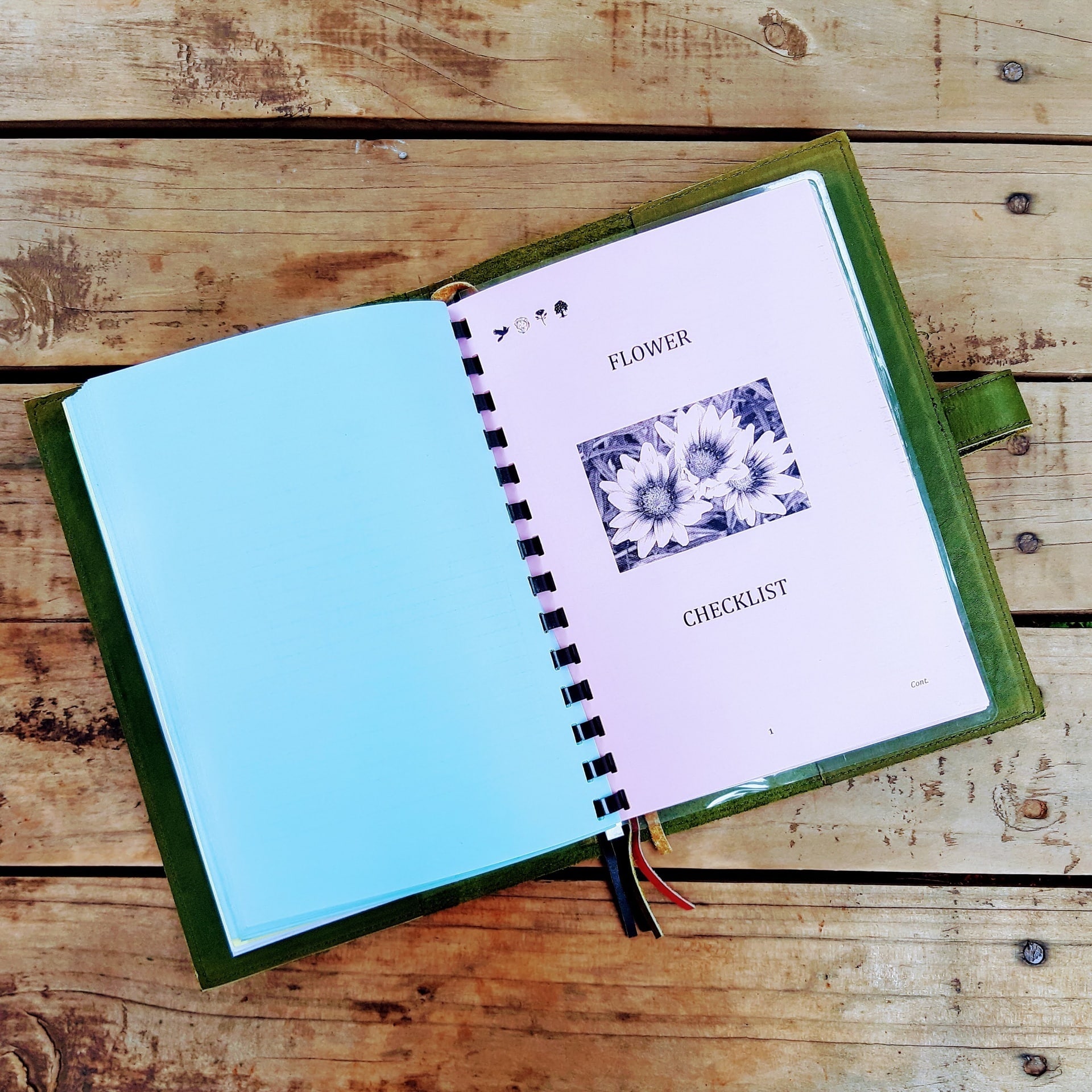 Safari Log - Image 3