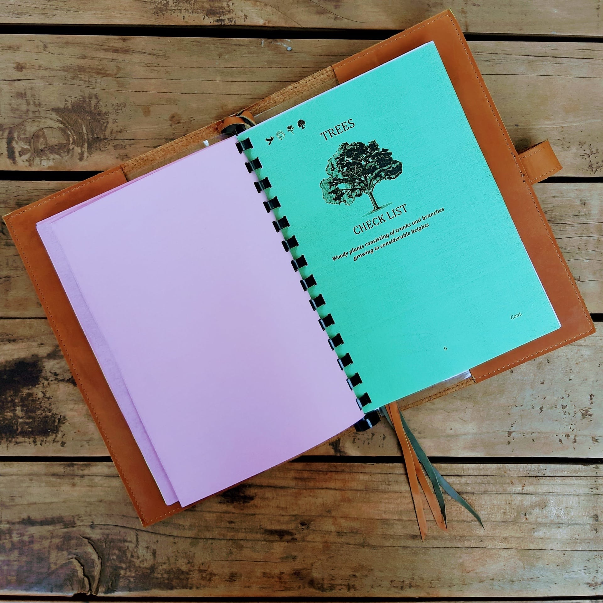 Safari Log - Image 6