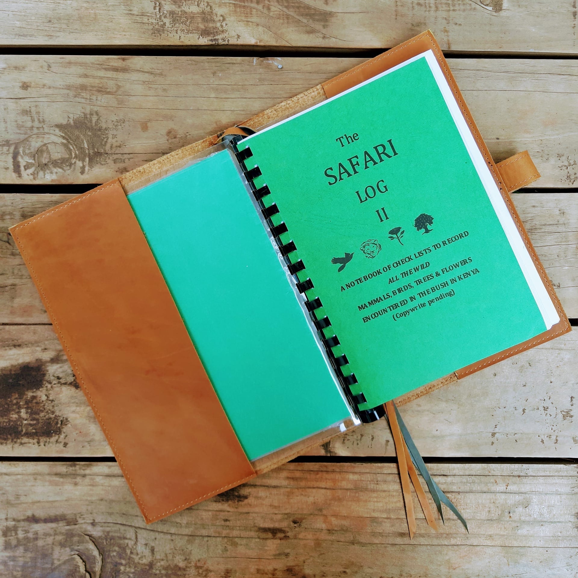 Safari Log - Image 4