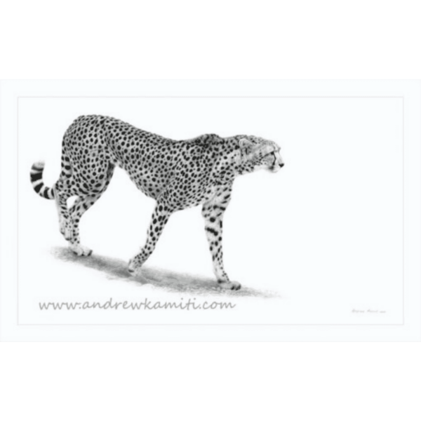 Painting - Imani cheetah