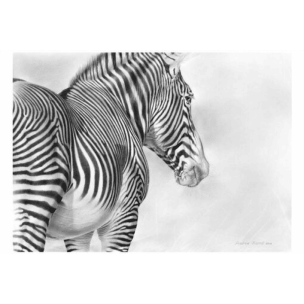 Painting - Grevy's zebra