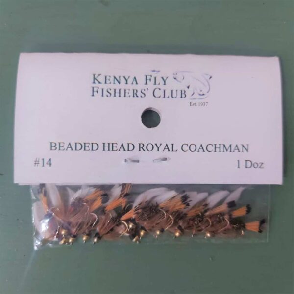 Fishing Flies - Beaded Head Royal Coachman