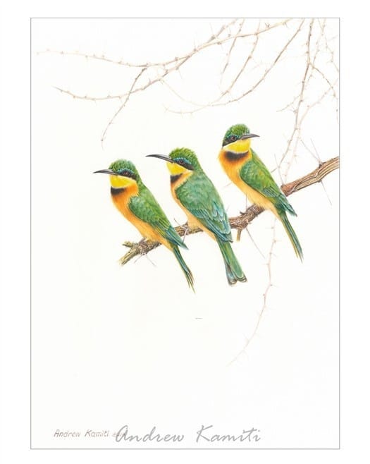 Painting - Little Bee Eaters