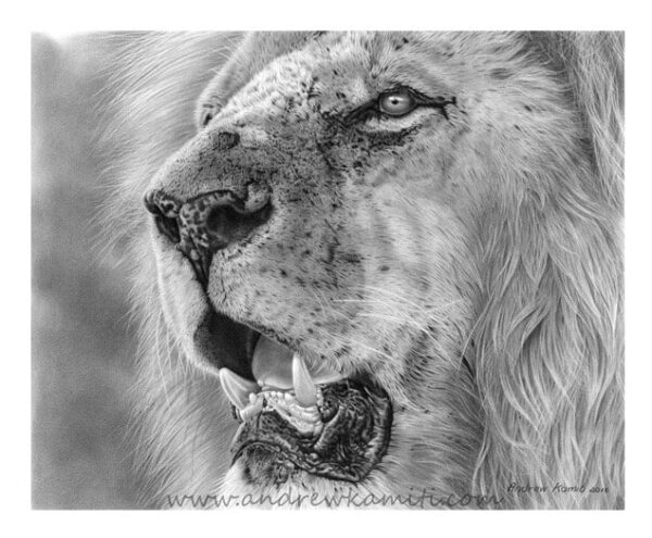 Painting - Lipstick ( Maasai Mara Lion)
