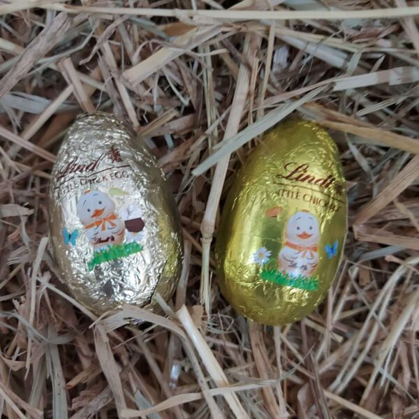 Lindt little chick eggs