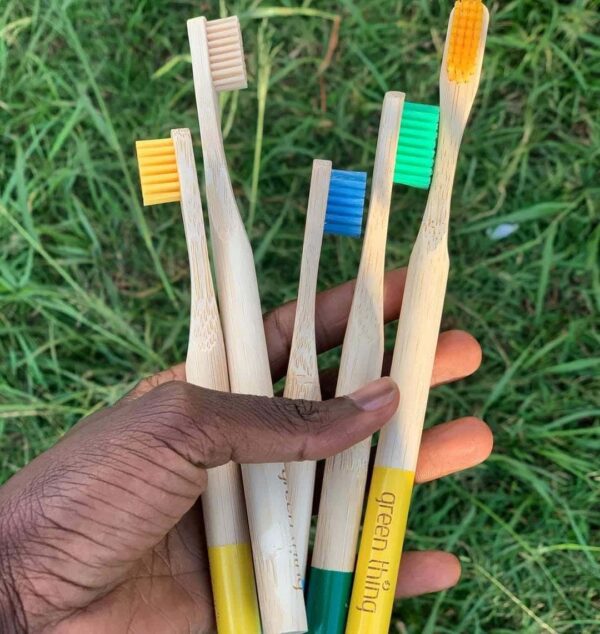 Coloured Adult Toothbrush