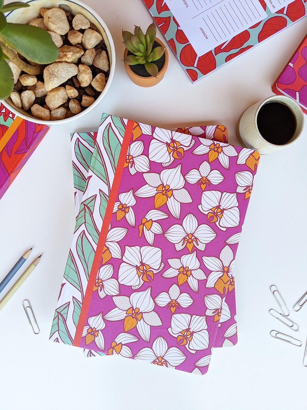 Notebook/ The mysterious orchid