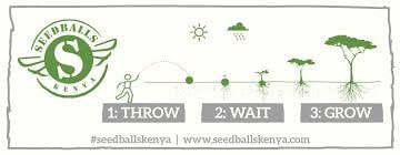 Bags of seedballs - Image 4