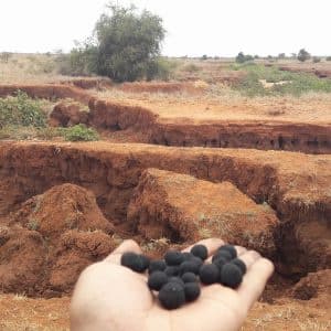 Bags of seedballs - Image 3