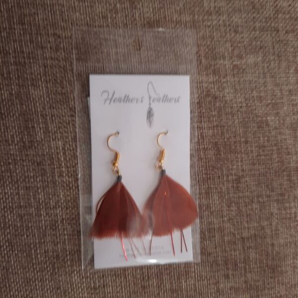 Feather Earrings - Rust