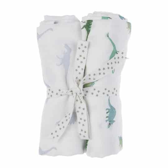 Muslin - Pack Of 2 - Dinosaur