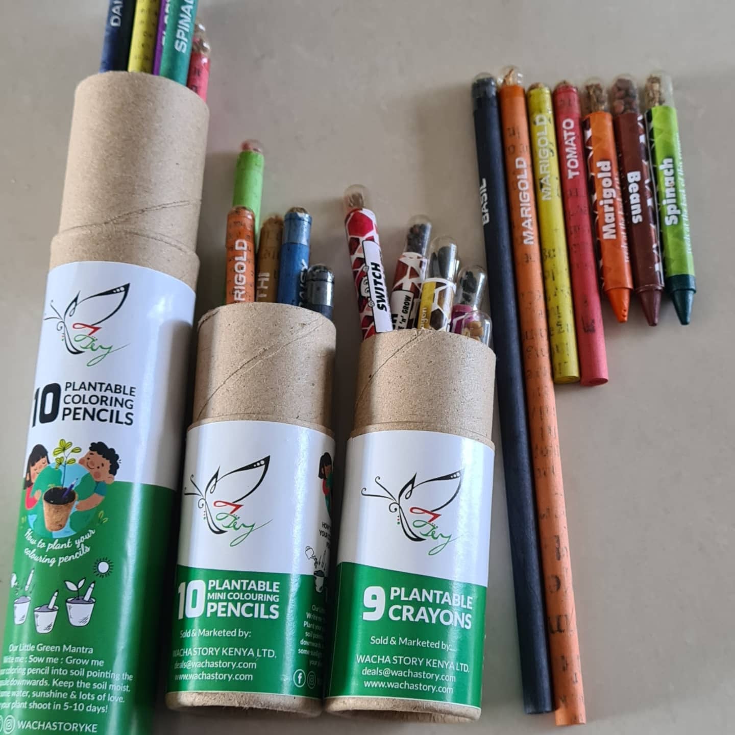 Colouring Pencil in Kraft Tube - 10 pc set