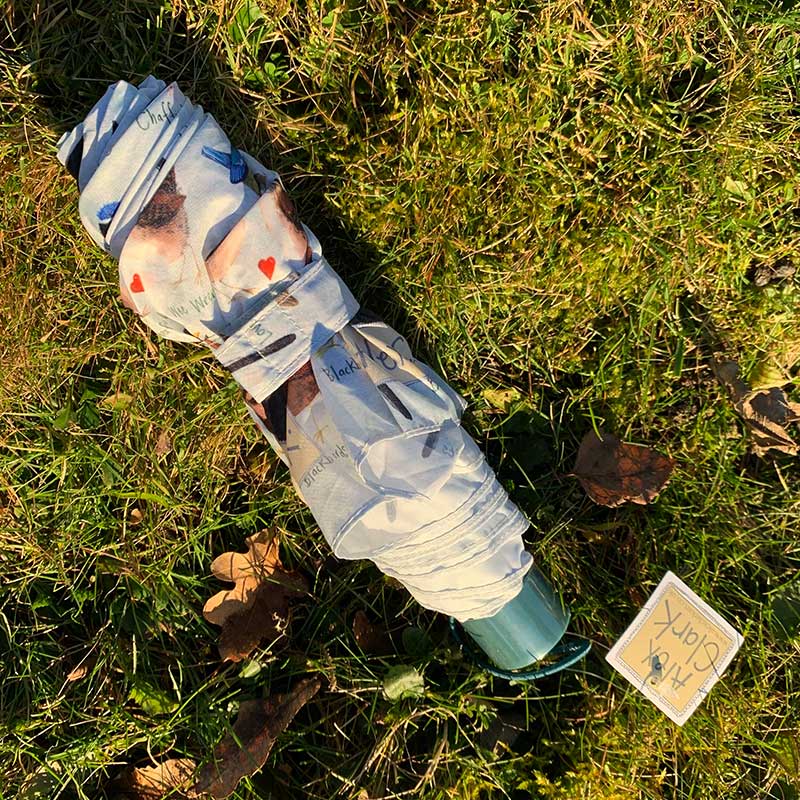 Brilliant Birds Umbrella - Image 4