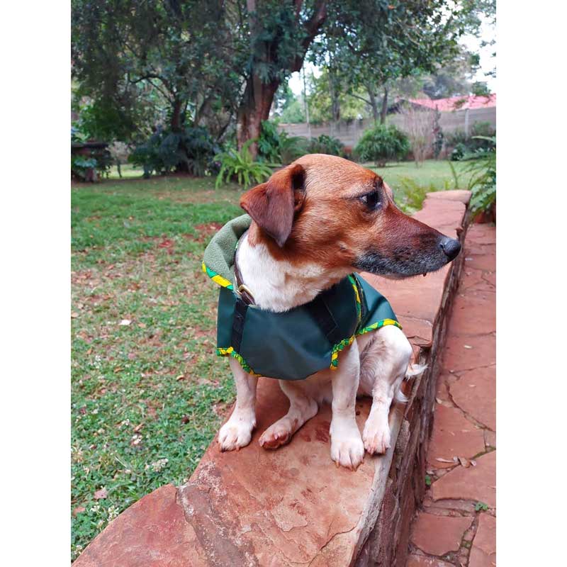 Kanga Dog Coat - Image 2