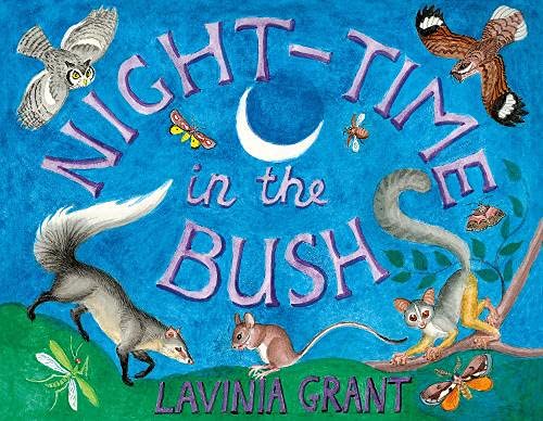 Night Time In The Bush Book