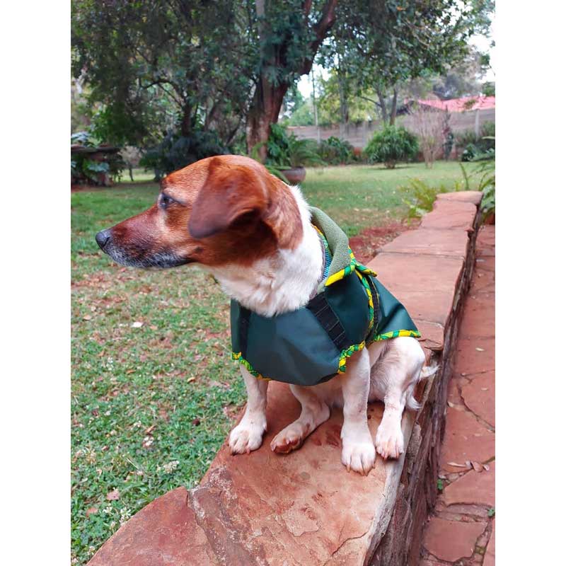 Kanga Dog Coat - Image 3