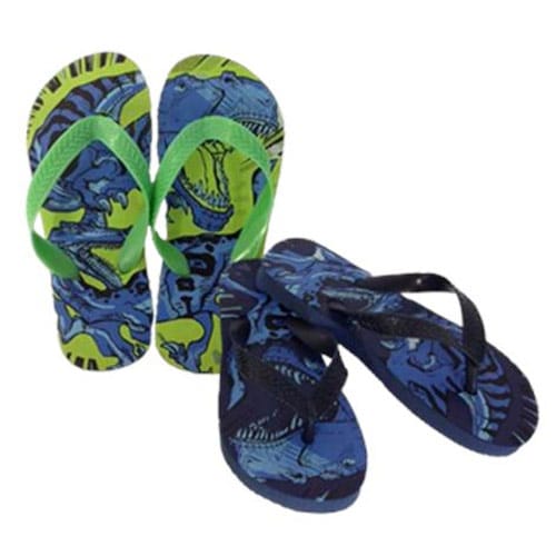 Boys Dinosaur Print Flip Flops