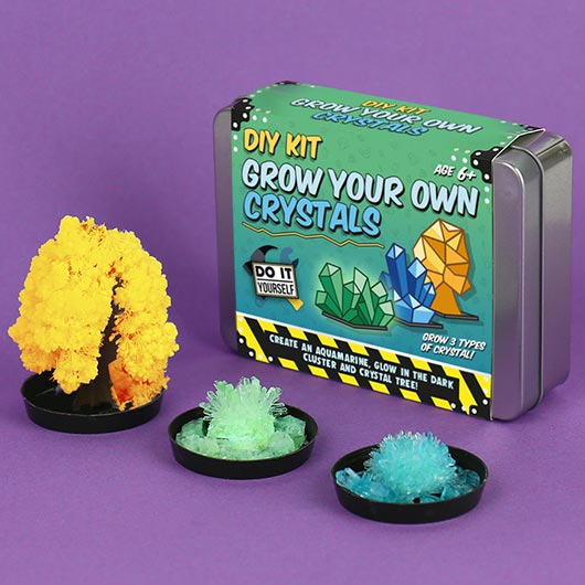 DIY Grow Your Own Crystal Kit