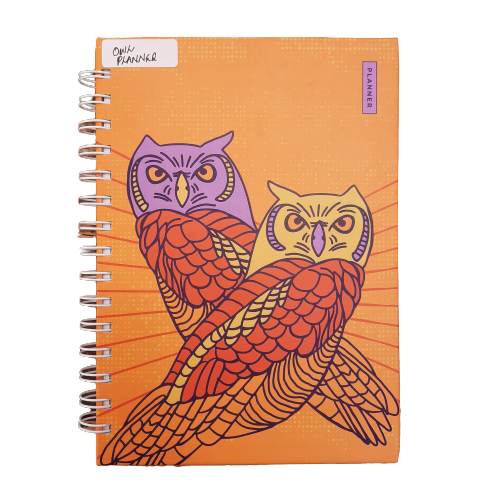 3 Month Confidence Planner/ Owl