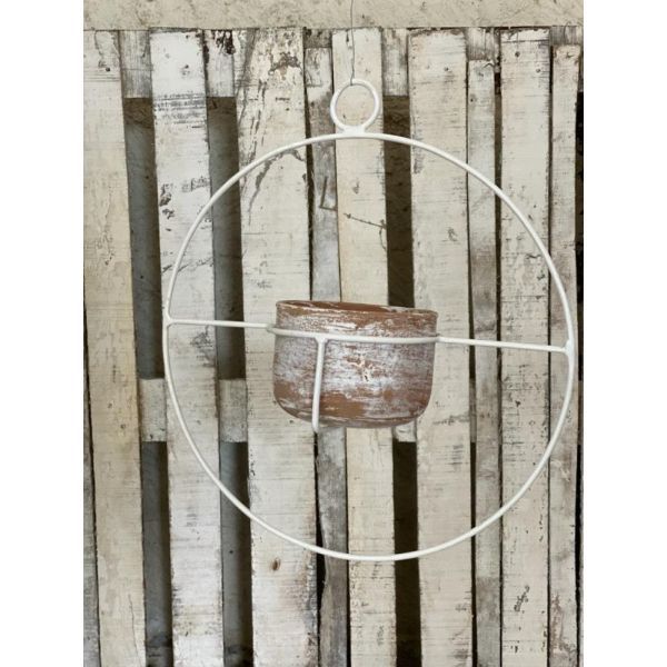 Cetus White - Image 2