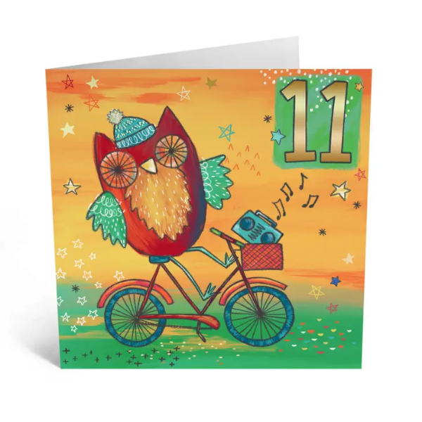 Owl 11th Birthday Card/ CE789