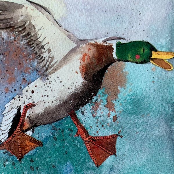 Crash Landing Coaster C49