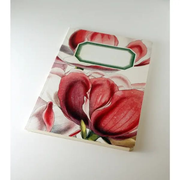 Botanical Notebook - Magnolia - WAN18417