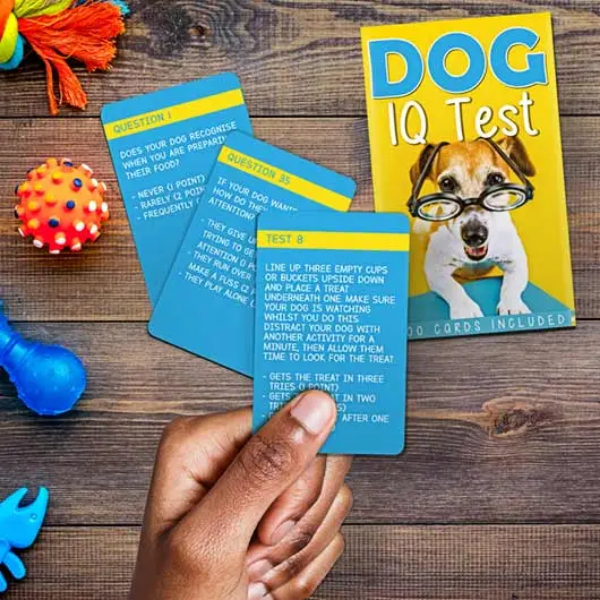 Trivia - Dog IQ Test/ GR490091