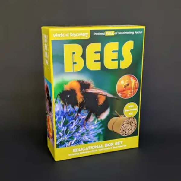 World of Discovery Box Set - Bees/ WODBS13