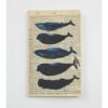 Whales Notebook - WAN20402