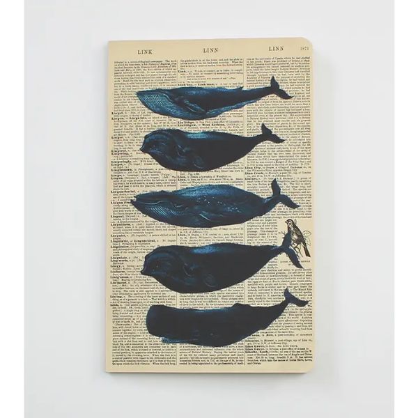 Whales Notebook - WAN20402