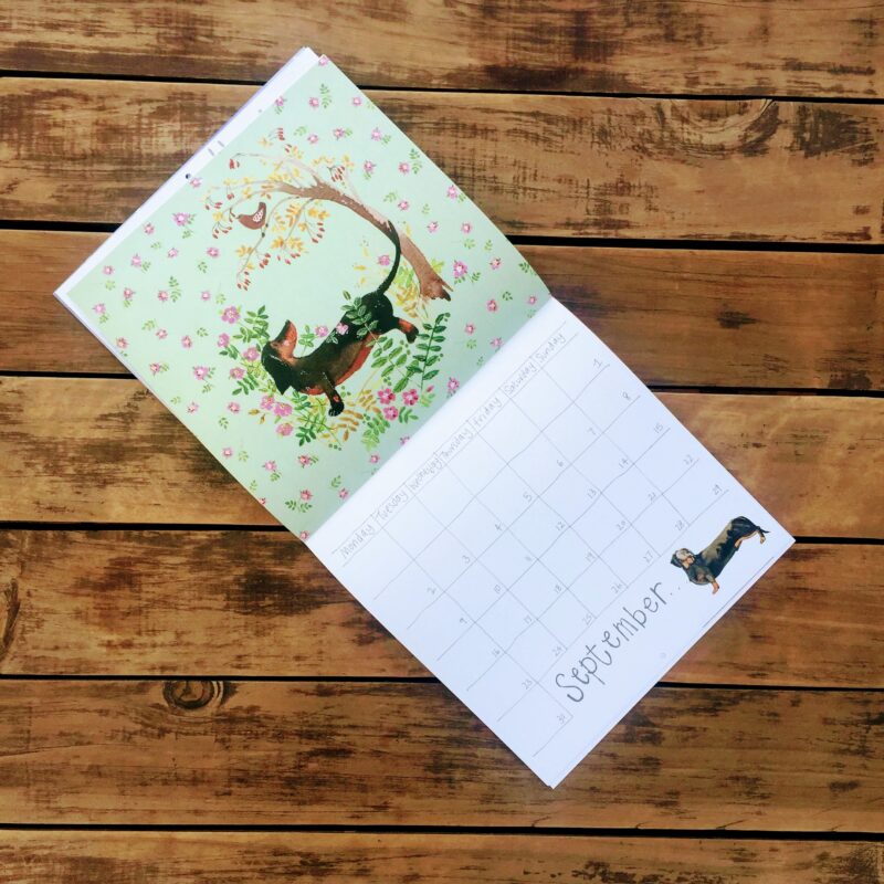 Delightful Dogs 2019 - Image 2