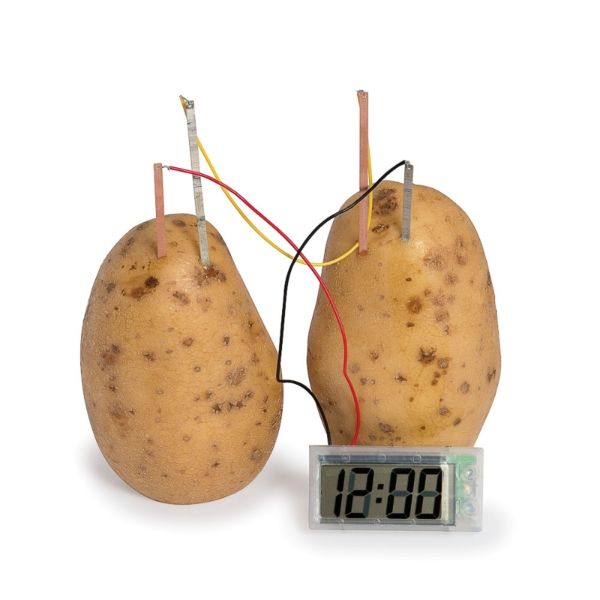 Potato Clock EG7835 - Image 2