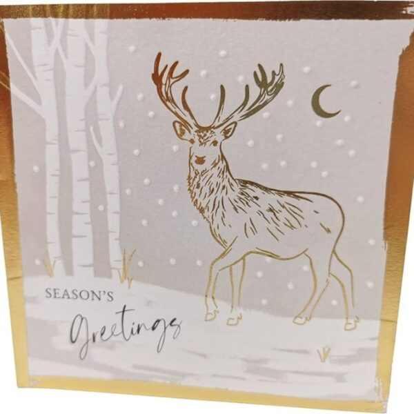 Stag and Merry + Bright Design Christmas Cards 10 Pack